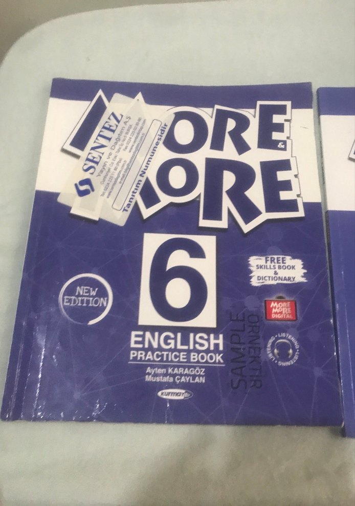 More Reading 6. Sınıf İngilizce Kitapları - Görsel 2