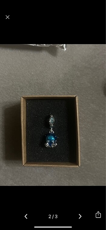 Pandora Pandora charm