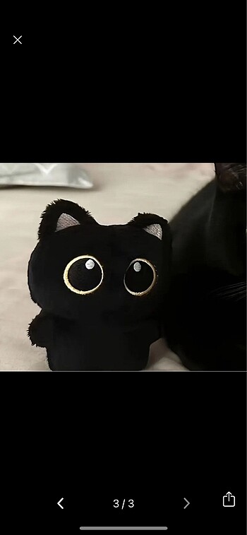  Beden Pinterest siyah kedi peluş