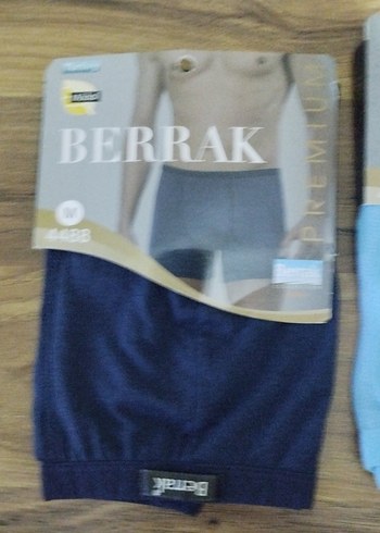 Berrak Erkek Mavi Baskılı Boxer - Görsel 3