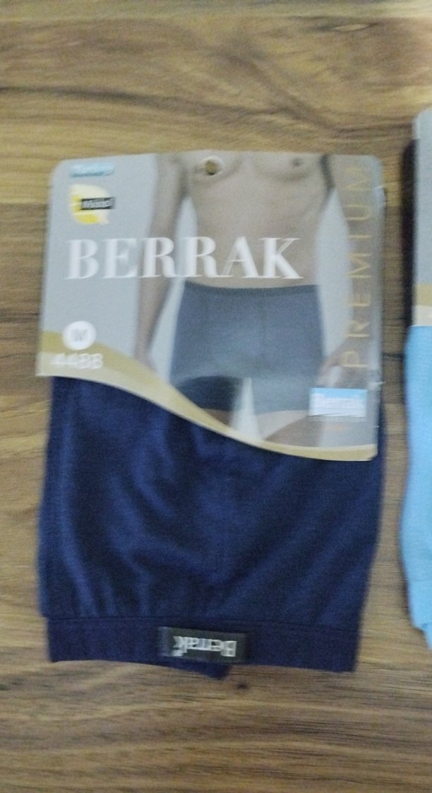 Berrak Erkek Mavi Baskılı Boxer - Görsel 3