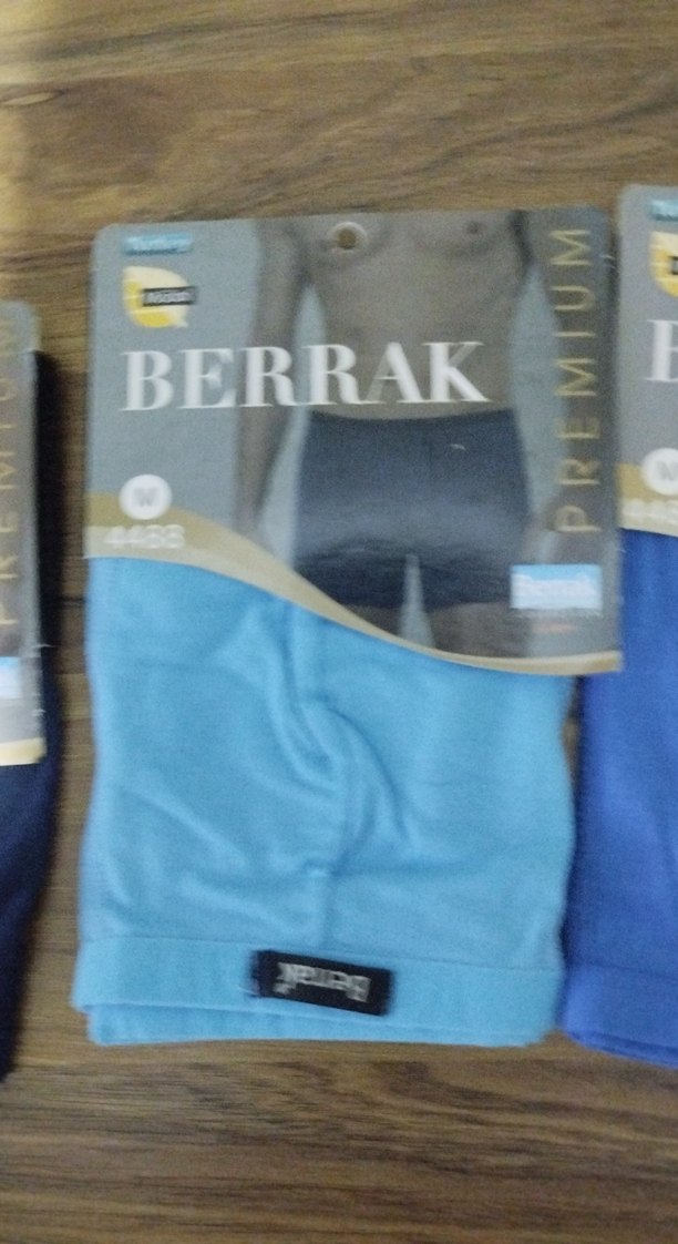 Berrak Erkek Mavi Baskılı Boxer - Görsel 4