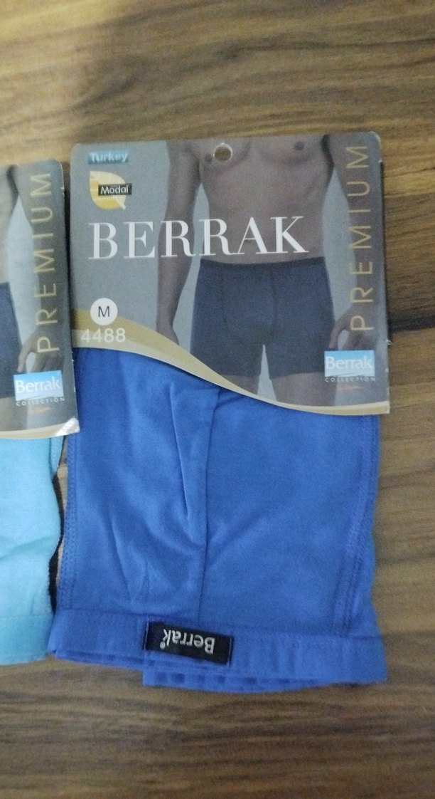 Berrak Erkek Mavi Baskılı Boxer - Görsel 5