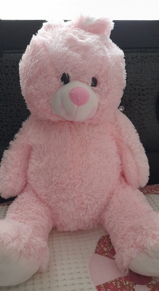 Pastel Pembe Peluş Oyuncak Ayı - Görsel 2