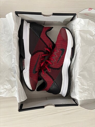 Nike Lebron Witness IV