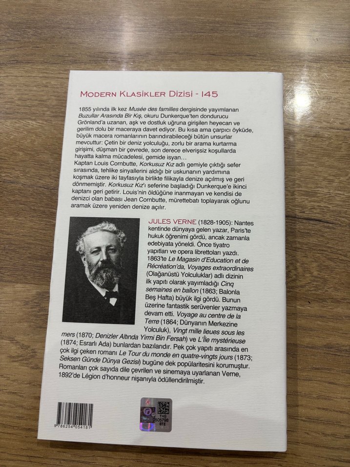 Jules Verne - Buzullar Arasında Bir Kış - Görsel 3