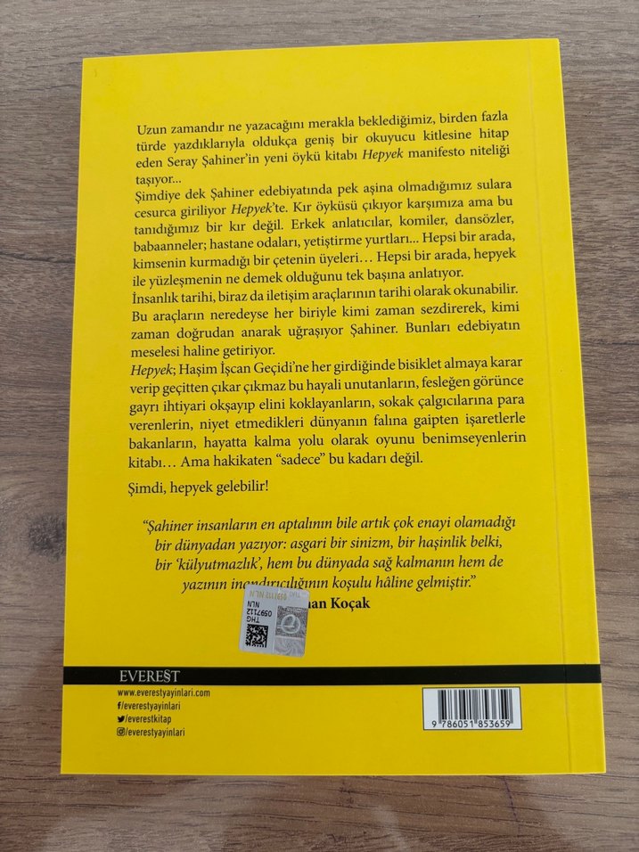 Hepyek - Seray Şahiner - Görsel 3