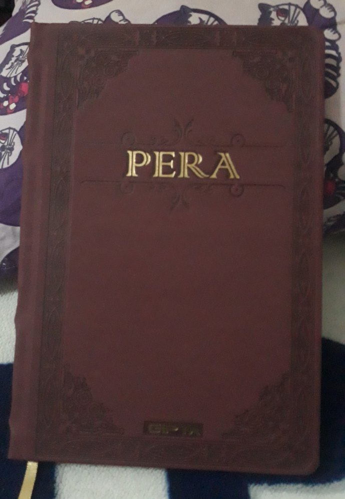 suni deri kaplamalı ajanda veya hatıra defteri - Görsel 2