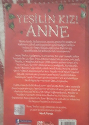 Yeşilin Kızı ve Pamuk İpliğinden Hayaller Kitapları - Görsel 3