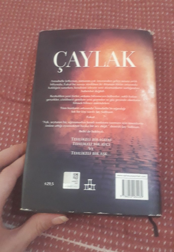 Çaylak - M. Rişi - Görsel 2