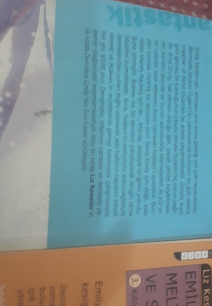 deniz kızı emily serisi 1.kitap yok - Görsel 4