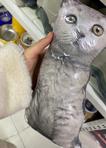 Gri Kedi Yastığı - Görsel 2