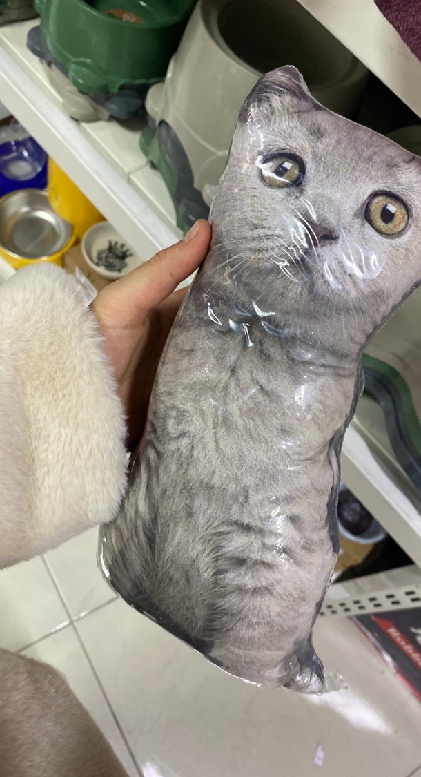 Gri Kedi Yastığı - Görsel 2