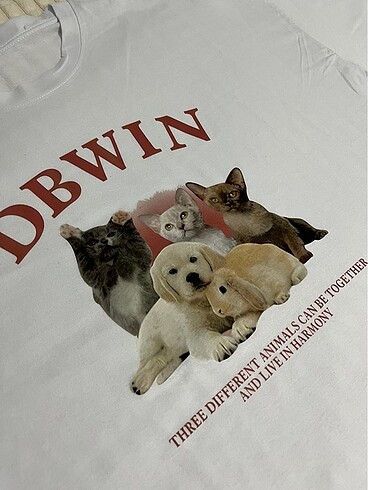 Rick Owens DBWIN???? oversize tee