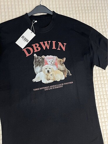 DBWIN ???? oversize tee