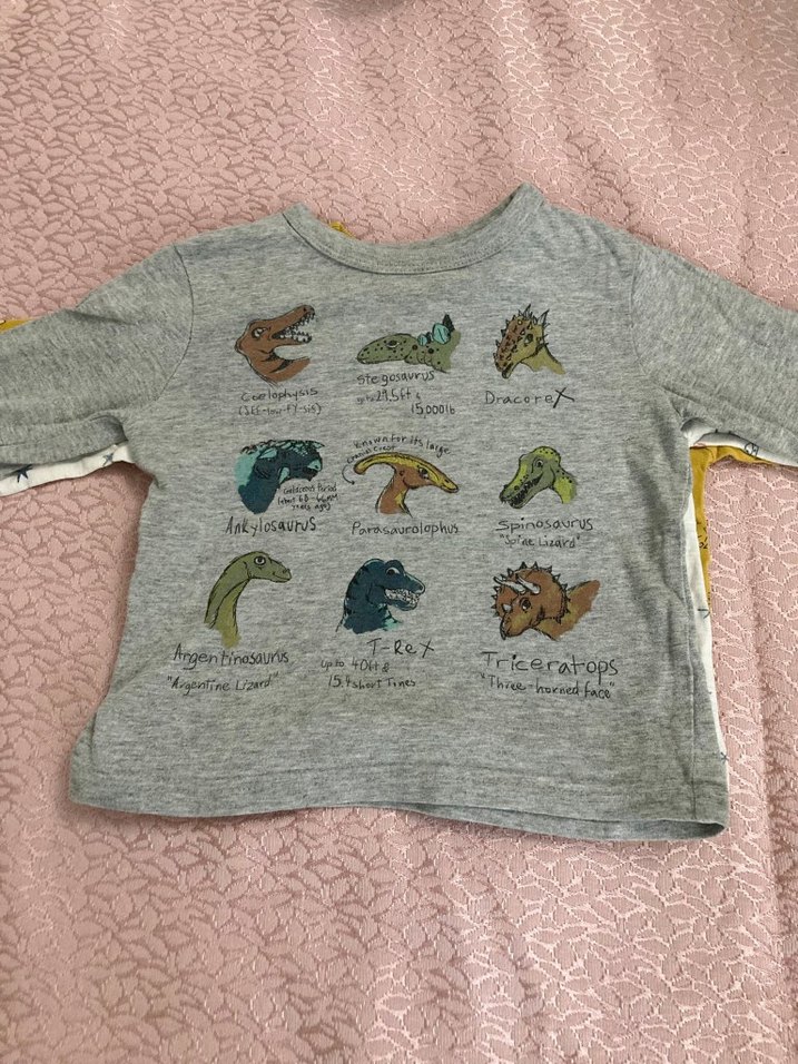 Zara Gap 3 adet mevsimlik body 12 ay erkek - Görsel 2