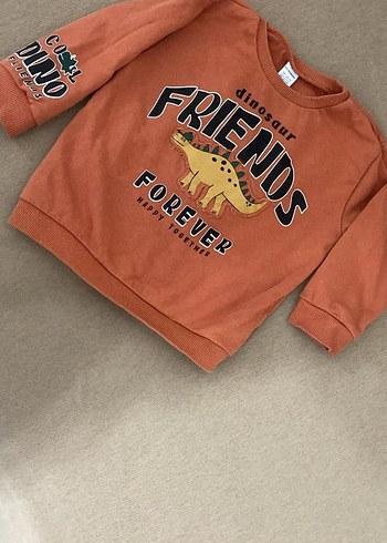 H&m Lcwaikiki 2 yaş Erkek Çocuk 3adet sweatshirt - Görsel 8