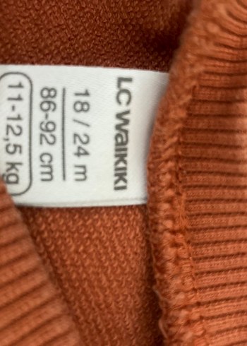 H&m Lcwaikiki 2 yaş Erkek Çocuk 3adet sweatshirt - Görsel 9