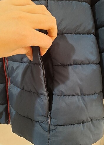 U.S Polo Assn. Us polo assn kadın mont