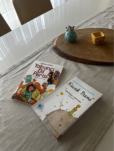 Beden Renk Çocuk kitabı