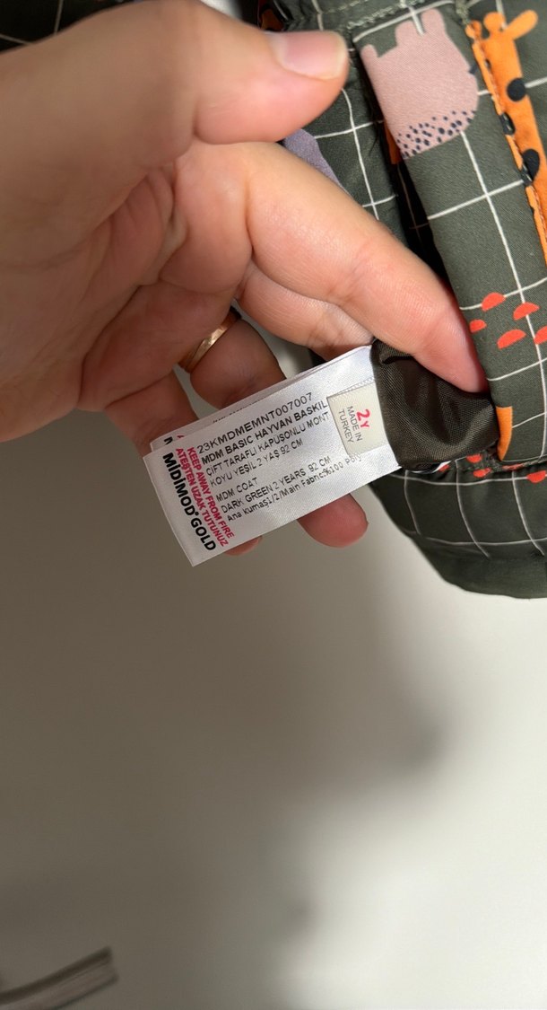 Kapüşonlu Fermuarlı Erkek Çocuk Mont - Görsel 3