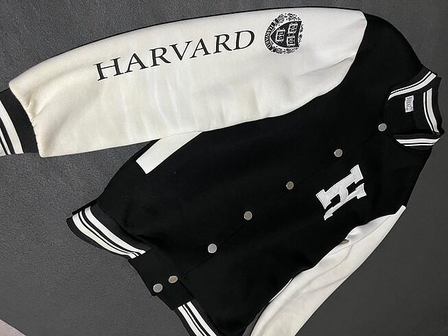 Diğer Harvard Kolej Ceket (M)
