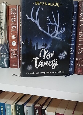  Beden Kar tanesi 1.kitap