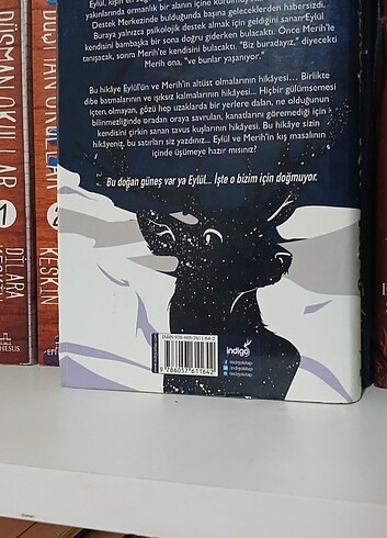  Kar küresi 2.Kitap