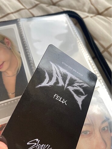  Beden Renk Felix pc