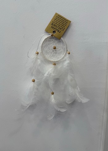 Mini Düş Kapanı