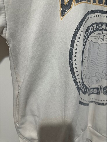 xl Beden Berkeley