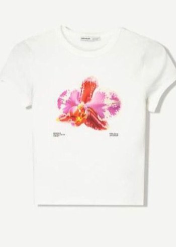 Bershka Bershka crop