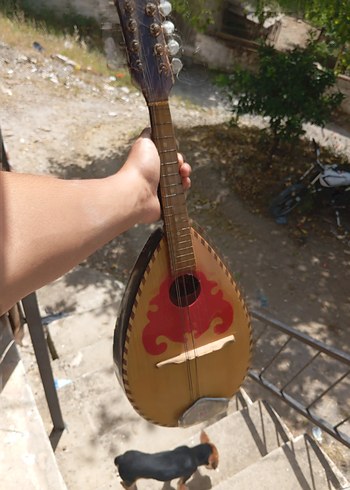 MANDALİNA EN UYGUNU!!