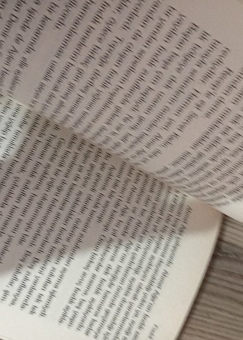 Fındık Zamanı- İbrahim Örs - Görsel 3