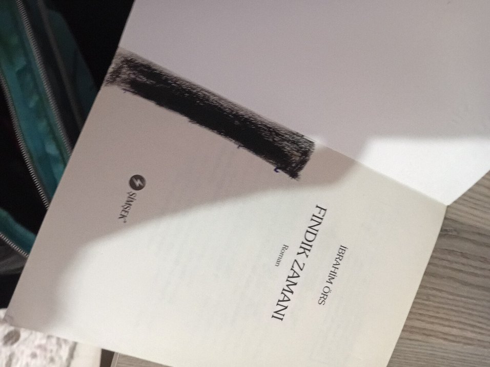 Fındık Zamanı- İbrahim Örs - Görsel 4