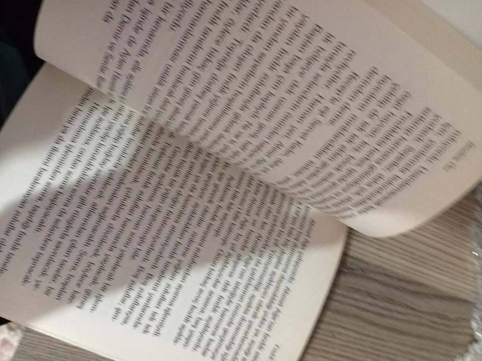 Fındık Zamanı- İbrahim Örs - Görsel 3