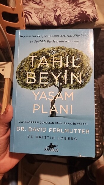 Tahıl beyin yaşam planı