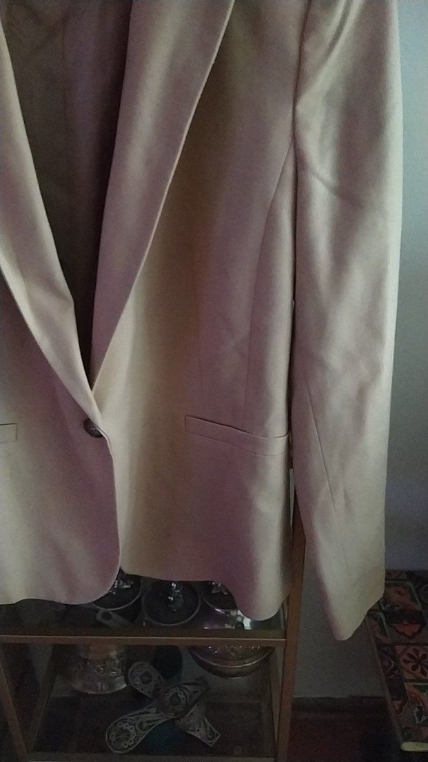 Şıklığın Simgesi: Pudra Pembe Blazer Ceket — görsel 4/7