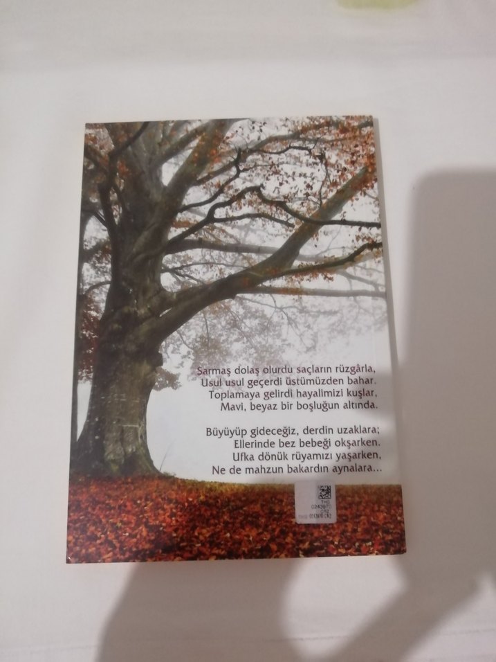 Gidişinin Ardından - Şiir Kitabı - Görsel 3