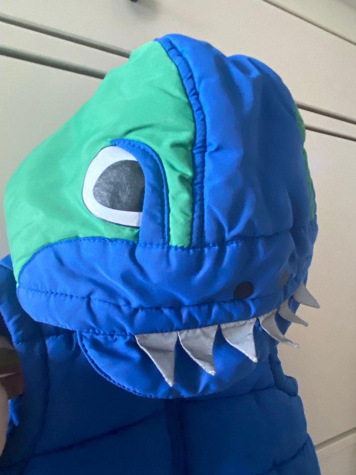 M&S Dinazor başlıklı yelek - Görsel 4