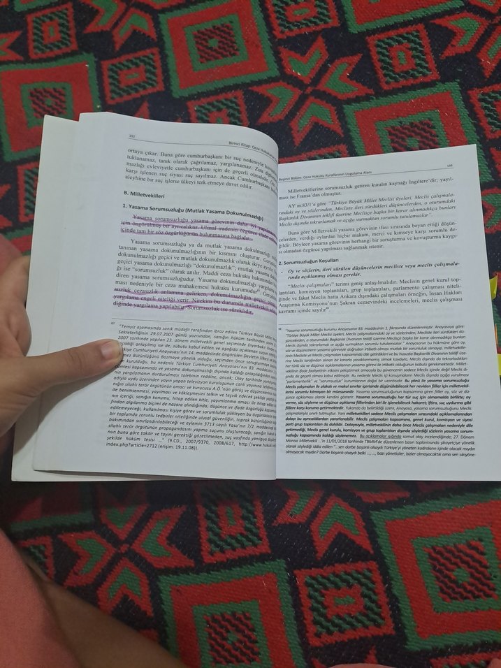 Türk Ceza Hukuku Genel Hükümler 14. Baskı - Görsel 2