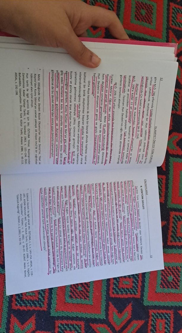 Türk Hukuk Tarihi Kitabı - Görsel 3