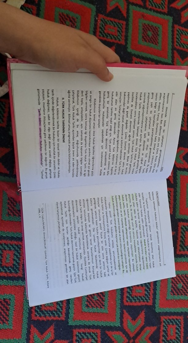 Türk Hukuk Tarihi Kitabı - Görsel 2