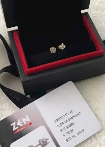 4 Karat Tektaş Pırlanta Küpe - Görsel 3