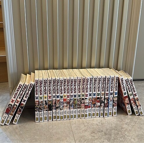  One piece manga