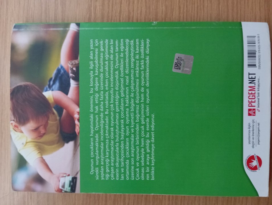 Erken Çocuklukta Oyun Gelişimi ve Eğitimi Kitabı - Görsel 3