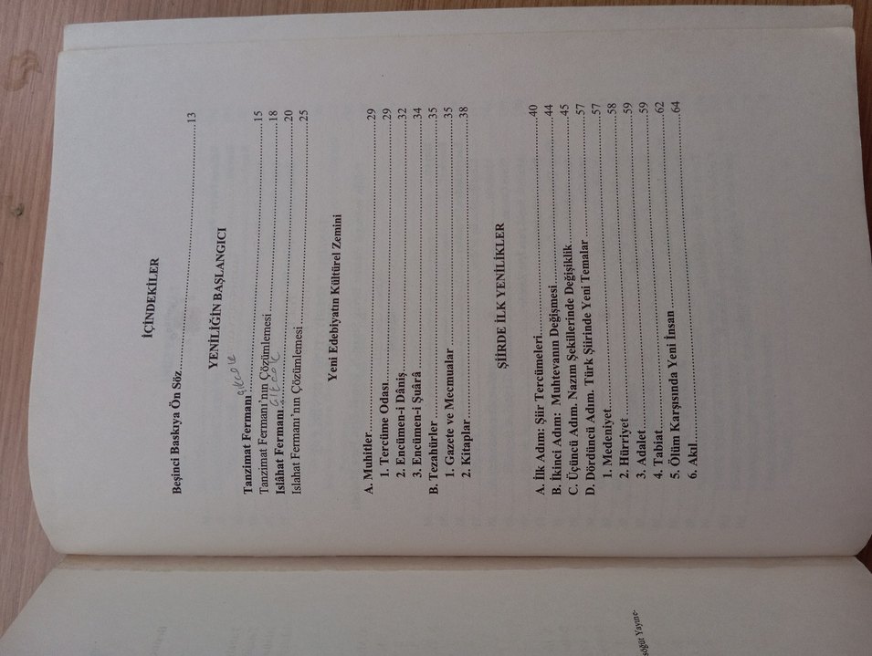 Edebiyat Tarihi 1 - Prof. Dr. Ali İhsan Kolcu - Görsel 2