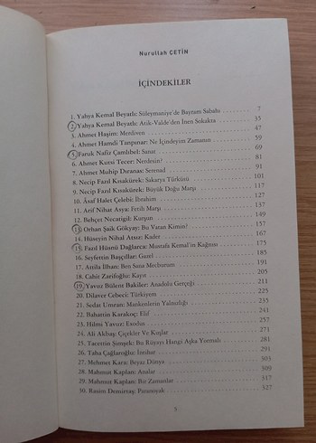 Şiir Tahlilleri 1 - Prof. Dr. Nurullah Çetin - Görsel 2