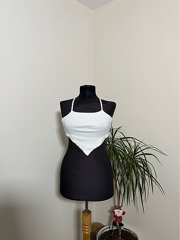 Crop body