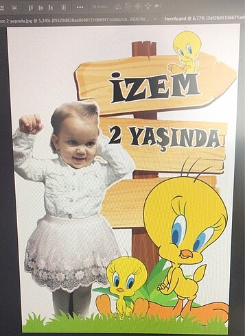 TWEETY KONSEPT